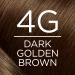 L'Oreal Paris Excellence Creme 4G Dark Golden Brown Hair Color - Gray Coverage for All Hair Types | Pack of 1 - Buy Online on GoSupps.com