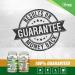 Focus + Energy Bundle | Panax Ginseng & Ginkgo Biloba Tablets + Moringa Oleifera Capsules - Non-GMO Superfood for Energy and Brain Function - Buy Online on GoSupps.com