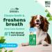 TropiClean Fresh Breath Toothbrush Kit for Small-Medium Dogs - Dental Care & Plaque Removal - 59ml - Buy Online on GoSupps.com