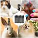 Pet nail polish kit: safe formula dog nail polish 12 grooming crayons quick-drying nail polish pens non-toxic paint tips for dogs - Buy Online on GoSupps.com