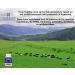 2 Pack Grass-Fed Beef Liver Supplement - 360 Capsules (180 Capsule per Bottle) - Natural Energy from Iron, Protein, Vitamins - No Hormones or GMO - Buy Online on GoSupps.com