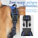 Rabbitgoo Medium Dog Harness - No Pull Adjustable Breathable Harness for Large Dogs - Reflex Stripes Safe Control Blue (1 Pack) - Buy Online on GoSupps.com