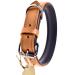 Sniffing fans collar for dogs made of leather dog collar for the large medium and small dog leather collar padded robust (s - 24-30cm beige) S - 24-30cm beige