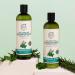 Petal Fresh Pure Rosemary & Mint Shampoo 355ml - Natural Hair Care for All Hair Types | Buy Online Worldwide - Buy Online on GoSupps.com