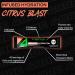 4ORE Nutrition Citrus Blast | Vitamin Infused Hydration for On-The-Course | STIM-Free Energy & Rapid Electrolyte Replenishment - Buy Online on GoSupps.com