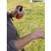 Ben's Tick Repellent 100ml Pump Spray - Buy Online on GoSupps.com