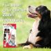 Beaphar Dog & Cat Toothbrush - Double Head Ergonomic Grip Special Bristle Cut for Effective Dental Cleaning - Buy Online on GoSupps.com