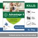 Advantage II Flea Prevention for Extra-Large Dogs | 6-Pack | Over 55 lbs - Buy Online on GoSupps.com