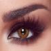 Bella 1 -day Colored contact lenses Almond Brown (diopttria -0.00) -10x -covering daily lenses natural color lenses in brown perfect for dark eyes without strength