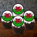48 Welsh Dragon Cupcake Toppers Edible Welsh Flag Cupcake Decorations St Davids Day Decorations Rugby Cake Decorations Dragon Cake Topper Rugby Cake Topper Daffodil Decorations Welsh Bunting - Buy Online on GoSupps.com