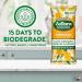 Zoflora Springtime Biodegradable Wipes Antibacterial Multi-surface Cleaning Wipes Convenient Quick Cleaning (Pack of 1 96 Wipes) - Buy Online on GoSupps.com