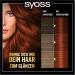  Syoss Syoss Oleo Intense Oil Hair Color 5-77 Brilliant Copper Red Level 3 (115 ml) Permanent Hair Color with Nourishing Oil Ammonia-Free - Buy Online on GoSupps.com