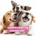 Premium Bully Sticks for Dogs - All-Natural Beef Pizzle Sticks for Puppies to Medium Dogs Dental Chew Treats for Healthy Teeth and Gums Fully Digestible Gluten-Free (Thin 12-15 cm 250gr) Thin-Regular 15 count (Pack of 1) - Buy Online on GoSupps.com