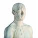 3B Scientific N30 Acupuncture Male Model 31.5-Inchx11.4-Inchx10.2-Inch - Buy Online on GoSupps.com