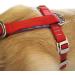 Kurgo Tru-Fit Car Safety Harness for Dogs - Padded Chest Panel & D-Ring Size M Purple - Ideal for Safe Travel | International Shipping Available - Buy Online on GoSupps.com