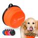 Petsation - dog bowl foldable for on the go the original food bowl dog Ideal for everyday life - 350 ml water bowl - drinking bowl for the dog - Reisenapf Fressnapf napf (2 x 350 ml orange) 2 x 350 ml orange