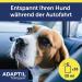 Adaptil Transport Spray 20ml - Calming Solution for Travel | Shop Internationally Now! - Buy Online on GoSupps.com