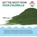 Sun Chlorella Powder - Green Algae Superfood for Immunity, Gut Health & Energy | Non-GMO | 30 Packets - Buy Online on GoSupps.com
