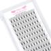 Premade Fans Eyelash Extensions 14D-D-0.05-15 Premade Volume Lash Extensions Pointed Base Fans 0.07 Premade Volume Fans C D Curl(14D-D-0.05 15mm)