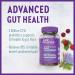 New Chapter Probiotic Gummies for Women and Men All-Flora (1 Month Supply) 55% Less Sugar+ Formulated for Holistic Gut Health Support with Probiotics + Prebiotic Fiber + 100% Vegan + Non-GMO - Buy Online on GoSupps.com