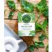 Traditional Medicinals Organic Nettle Leaf Tea - Joint Health & Wellness Support - 48 Tea Bags (Pack of 3) - Buy Online on GoSupps.com