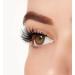 Ardell Mega Volume Lash #251 Black - Premium Eyelashes for Women | International Shipping Available - Buy Online on GoSupps.com