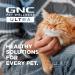 GNC Pets Ultra Cat Supplements - Chicken Flavored Soft Chews for Cat Health - 60 Count, Made in USA - Buy Online on GoSupps.com