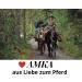 Reitsport Amesbichler 013/04D Saddle Bag for Horses Double Pannier Black - Buy Online on GoSupps.com