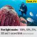 SeaLife Sea Dragon Mini 900S Compact LED Dive Light (SL653) - Bright and Portable Underwater Lighting - Buy Online on GoSupps.com