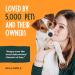 No Chew Bitter Spray for Dogs - Anti Chew Deterrent - Alcohol-Free and Odorless - Buy Online on GoSupps.com