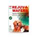 Sun Chlorella Rejuv-A-Wafers Daily Dog Cat & Animal Superfood Supplement - Green Microalgae & Eleuthero Bits - Vitamins, Minerals, Antioxidants Support Immune Defense, Gut Health - 60 Wafers