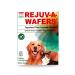 Sun Chlorella Rejuv-A-Wafers Daily Dog Cat & Animal Superfood Supplement - Green Microalgae & Eleuthero Bits - Vitamins, Minerals, Antioxidants Support Immune Defense, Gut Health - 60 Wafers