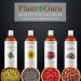 Plant Guru Pumpkin Seed Oil 16 oz. Virgin Unrefined Cold Pressed 100% Pure Natural Ideal for Skin Face Body and Hair Moisturizer. Great for DIY Creams Lotions and Lip Balms. 16 Fl Oz (Pack of 1) - Buy Online on GoSupps.com