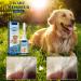 Wart Remover for Dogs Dog Skin Tag Remover Dog Wart Remover Dog Wart Removal Treatment Skin Tag Remover for Dogs Effective Wart Removal for Dogs Strong Warts Remover Dogs Natural Dog Wart Removal - Buy Online on GoSupps.com