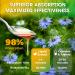 Black Seed Oil Bitters Liquid - Premium Herbal Blend with Black Seed Extract, Curcumin (Turmeric Extract), Ashwagandha, Elderberry, Probiotics, Vitamin C, Zinc...16 fl oz | Natural Botanical Blend Black Seed Bitters 16 Fl O  - Buy Online on GoSupps.com