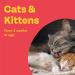 Bob Martin Cat & Kitten Conditioning Tablets (100 Tablets) - Vitamin-Rich Immune Support & Nutritional Fish Supplement - Buy Online on GoSupps.com