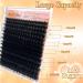 Fluffy 200D Lash Clusters - 224 Pcs 10-20mm D Curl Volume Eyelash Extensions | DIY Natural False Eyelashes at Home by Anforlin - Buy Online on GoSupps.com
