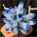 Natural Crystal Rough New Find Sky Blue Phantom Quartz Crystal Cluster Specimen (Size : 400-500g) - Buy Online on GoSupps.com