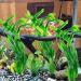 Buy WZTCIBUR Aquarium Plants - 10 Artificial Green Decorations | Safe for Fish | Perfect for Aquariums - Buy Online on GoSupps.com