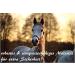 Stylish Brown Lead Rope for Horses Ponies Donkeys & Goats - Durable Tie Rope in Multiple Designs - Buy Online on GoSupps.com