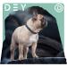 Buy Dey Premium Reflective Dog Collar - Adjustable Nylon for Small & Large Dogs - Multiple Colors & Sizes - Purple S (1.5 x 27-37 cm) - Durable & Stylish Cat & Puppy Neck Strap - Buy Online on GoSupps.com