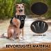 Eyin Adjustable Dog Harness for Small Dogs - Breathable Reflective Padded with Handle & Front Bracket - Perfect for Daily Training (Black Size S) - Buy Online on GoSupps.com