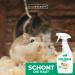Silver Power Mite Spray for Hamsters | 500 ml - Powerful & Reliable Mite Protection for Rodents - Buy Online on GoSupps.com