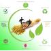 Sea Moss and Bladderwrack 120 Capsules (3600mg) - Vegan, Wild Harvested, Non GMO | Dr Sebi Approved - Buy Online on GoSupps.com