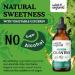 Wild & Organic Cilantro Tincture - Vegan Detox Cleanse Supplement - Alcohol-Free Antioxidants - 4 oz Cilantro Drops for Detox & Wellness - Buy Online on GoSupps.com