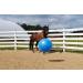 Buy Horsemenâ€™s Pride Mega Ball - Durable Horse & Dog Toy for Fun Playtime - Buy Online on GoSupps.com