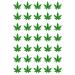 35 x Weed Leaf Edible Wafer or Icing Cupcake Toppers Fun Party Cake Decorations Perfect For Brownies Cookies Muffins & More! (Edible Wafer Card)