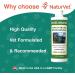 NaturVet OdoEliminator Concentrated Pet Deodorizer - 16 Oz - For Dogs & Cats - Clean & Fresh Scent - Buy Online on GoSupps.com