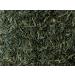 Since 1836 - Sencha Fukuyu Green Tea - Japanese Tea - 15 Pyramid Bags - Buy Online on GoSupps.com