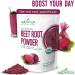 Alovitox Organic Beet Root Powder - 100% Pure USDA Extract - Nitric Oxide Superfood - Vegan & Gluten-Free - 16 oz - Buy Online on GoSupps.com